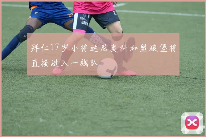 拜仁17岁小将达尼奥科加盟狼堡将直接进入一线队